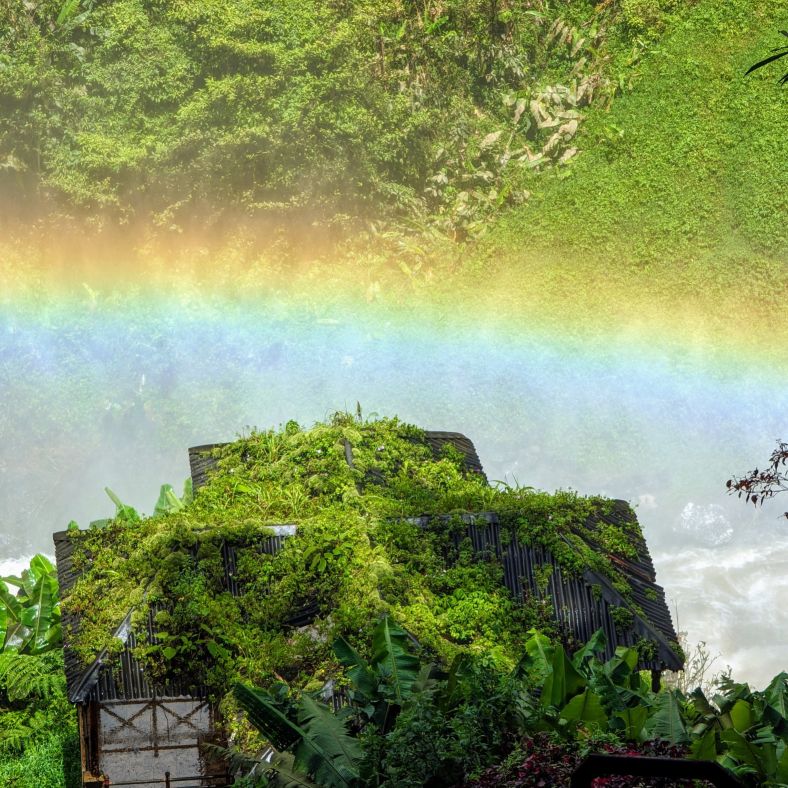 A beautiful photograph of a rainbow above a river, bordered by lush rainforest and a hut with greenery growing on its roof.