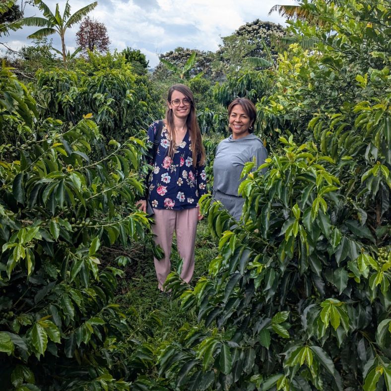 at finca Patrimonio in Cauca